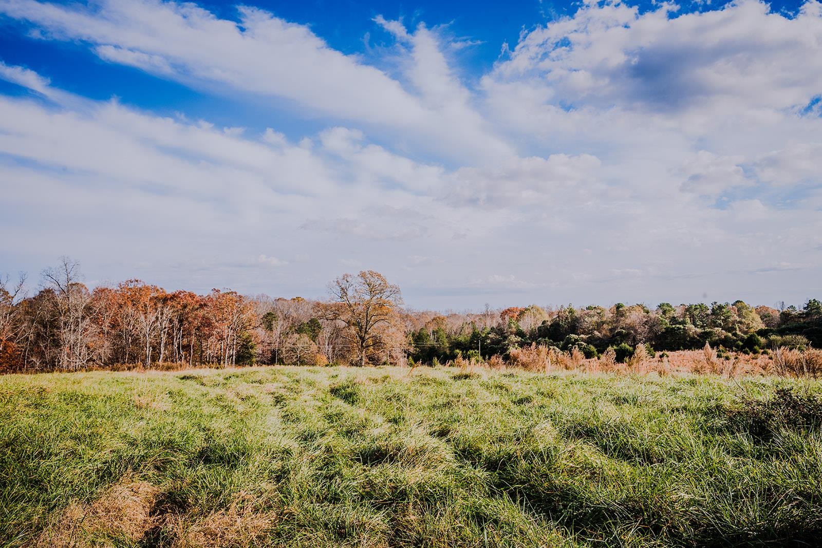 0 Perrine Drive Gaffney, SC 29341 - Photo 13 of 31