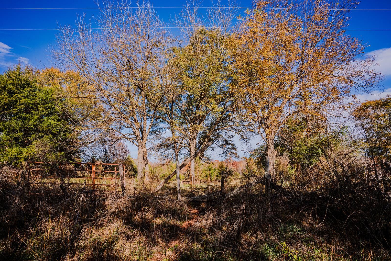 0 Perrine Drive Gaffney, SC 29341 - Photo 14 of 31