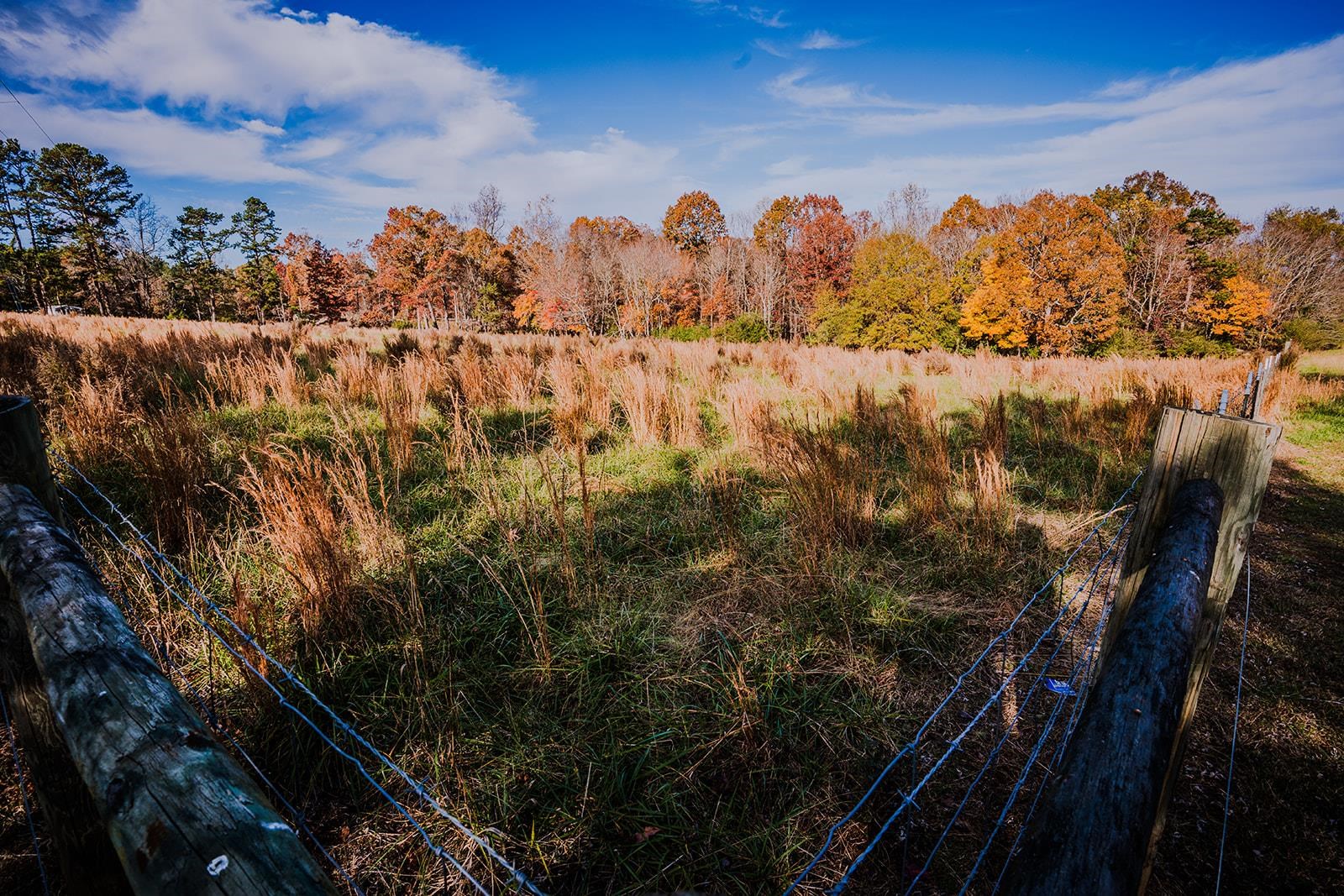 0 Perrine Drive Gaffney, SC 29341 - Photo 15 of 31
