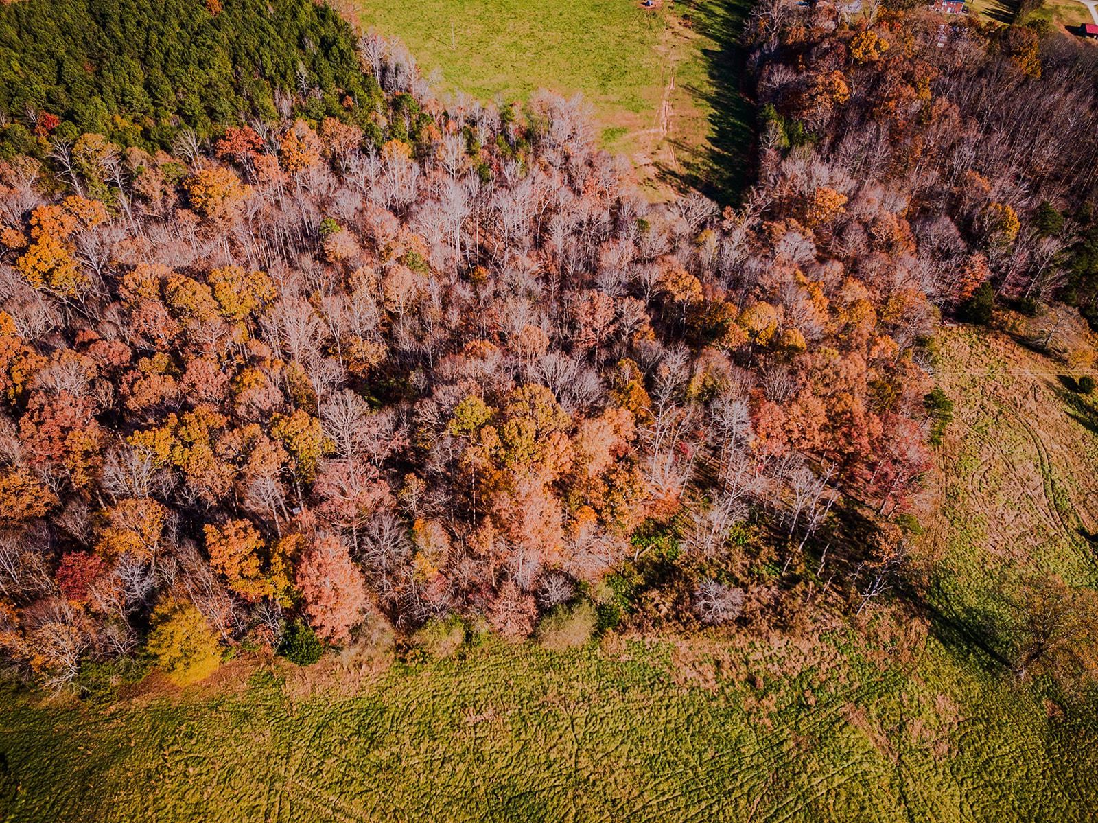 0 Perrine Drive Gaffney, SC 29341 - Photo 18 of 31