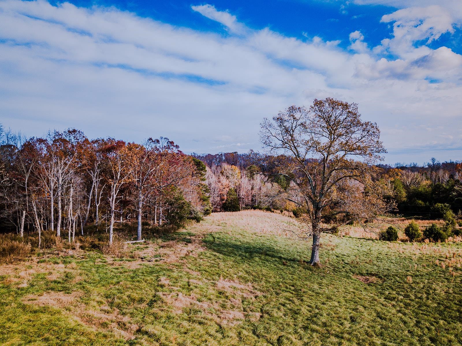 0 Perrine Drive Gaffney, SC 29341 - Photo 28 of 31