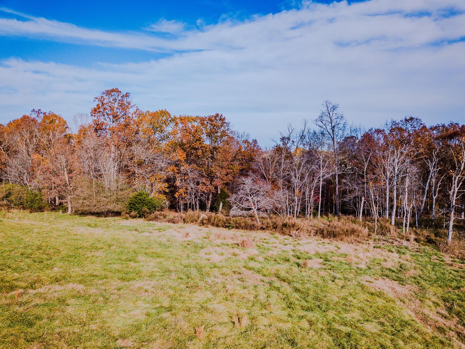 0 Perrine Drive Gaffney, SC 29341 - Photo 30 of 31
