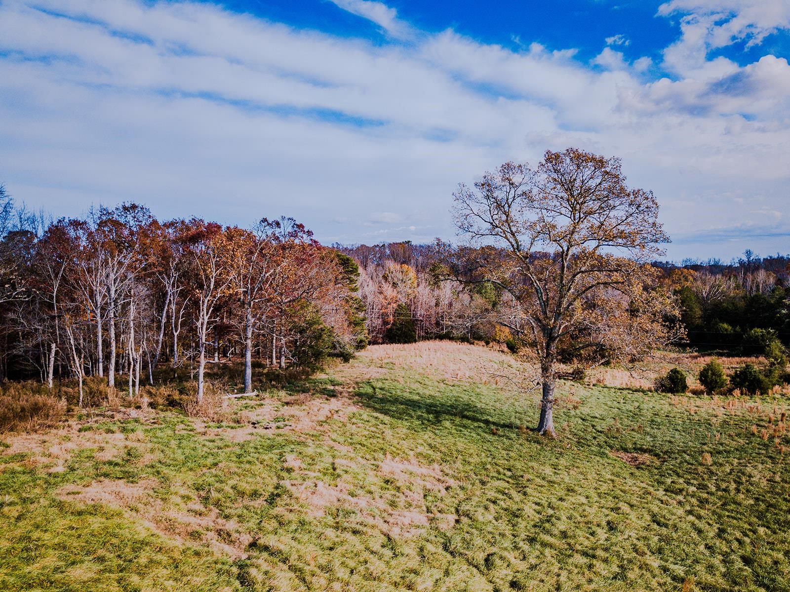 0 Perrine Drive Gaffney, SC 29341 - Photo 31 of 31