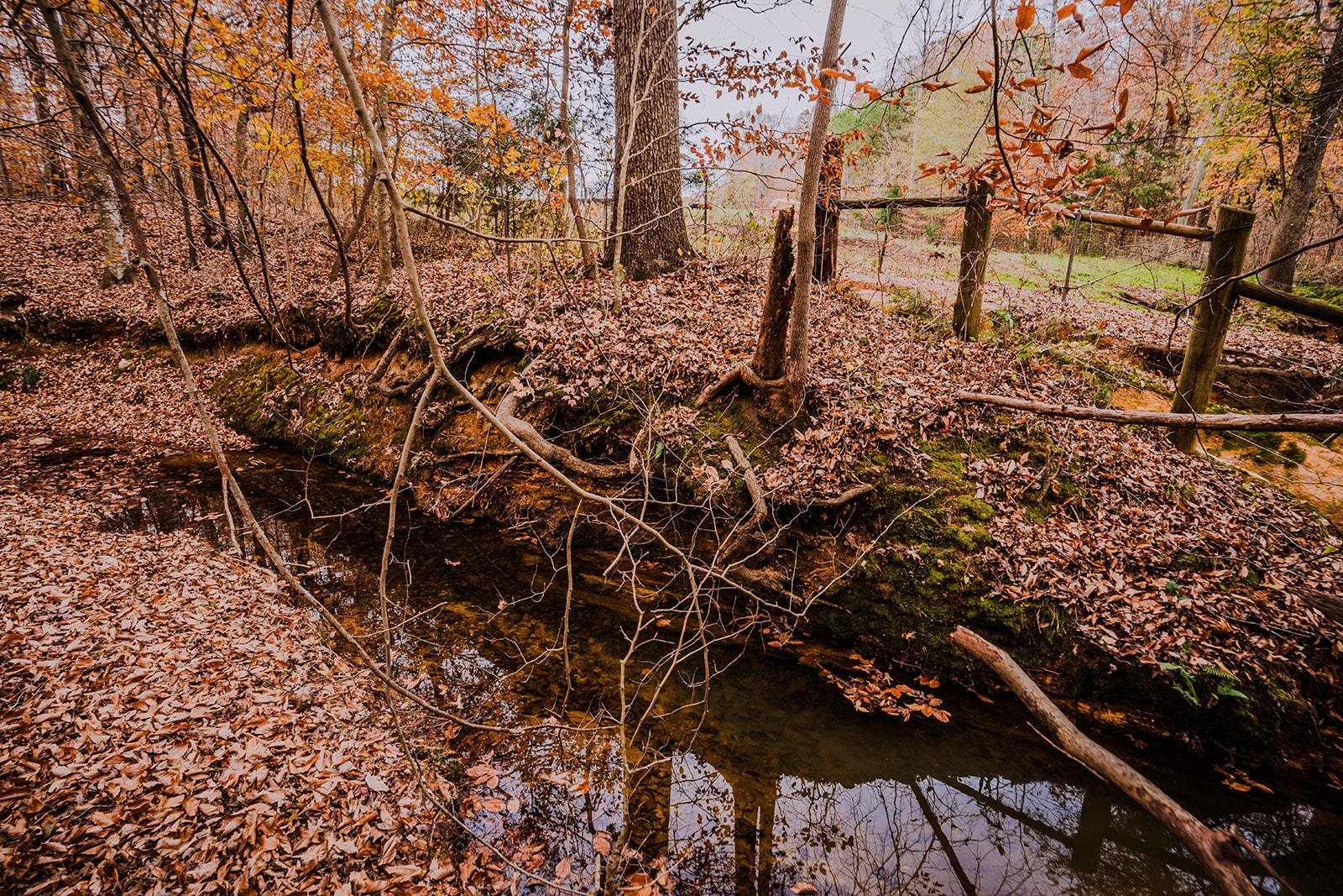 0 Perrine Drive Gaffney, SC 29341 - Photo 5 of 31