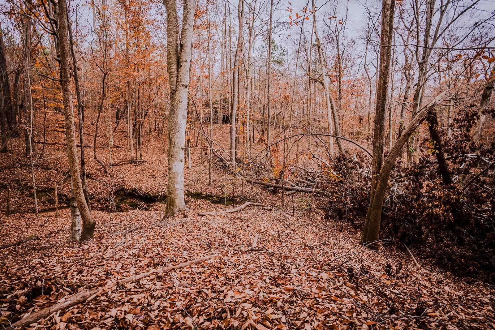 0 Perrine Drive Gaffney, SC 29341 - Photo 6 of 31