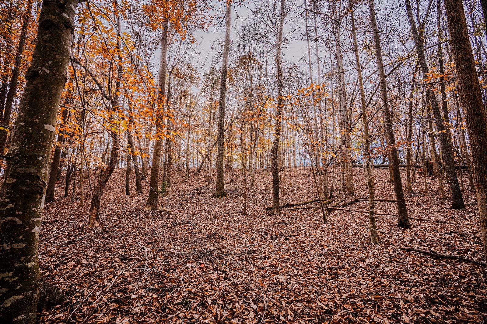 0 Perrine Drive Gaffney, SC 29341 - Photo 7 of 31