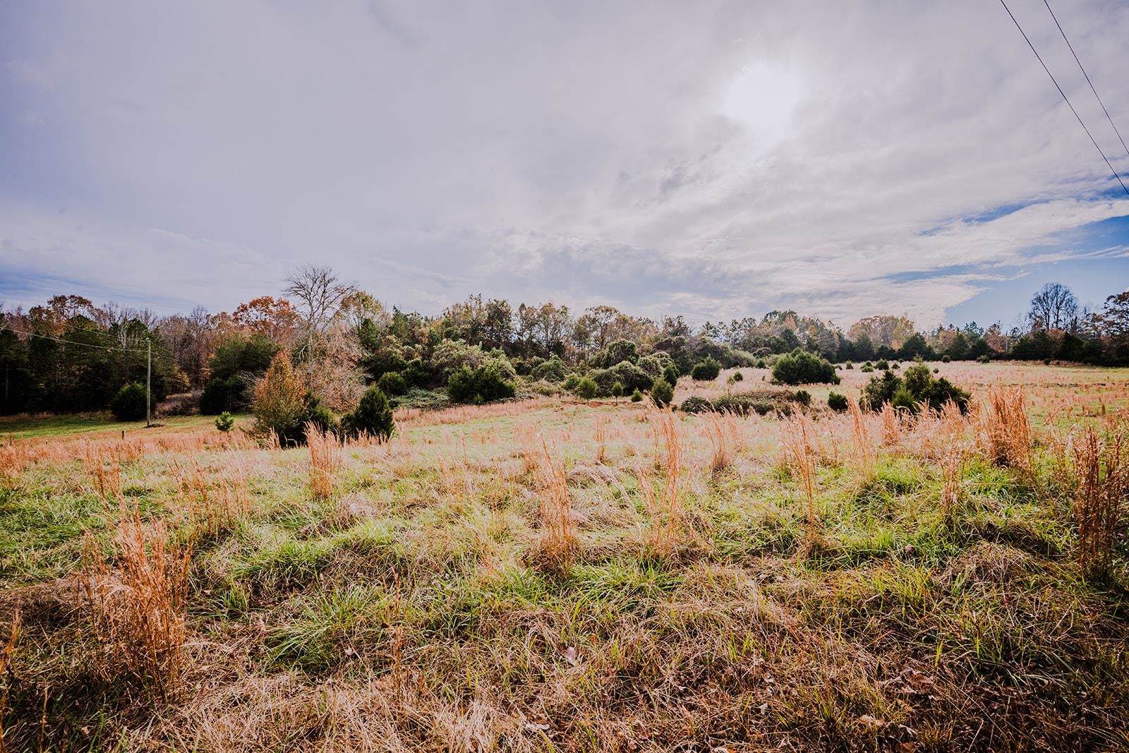 0 Perrine Drive Gaffney, SC 29341 - Photo 8 of 31