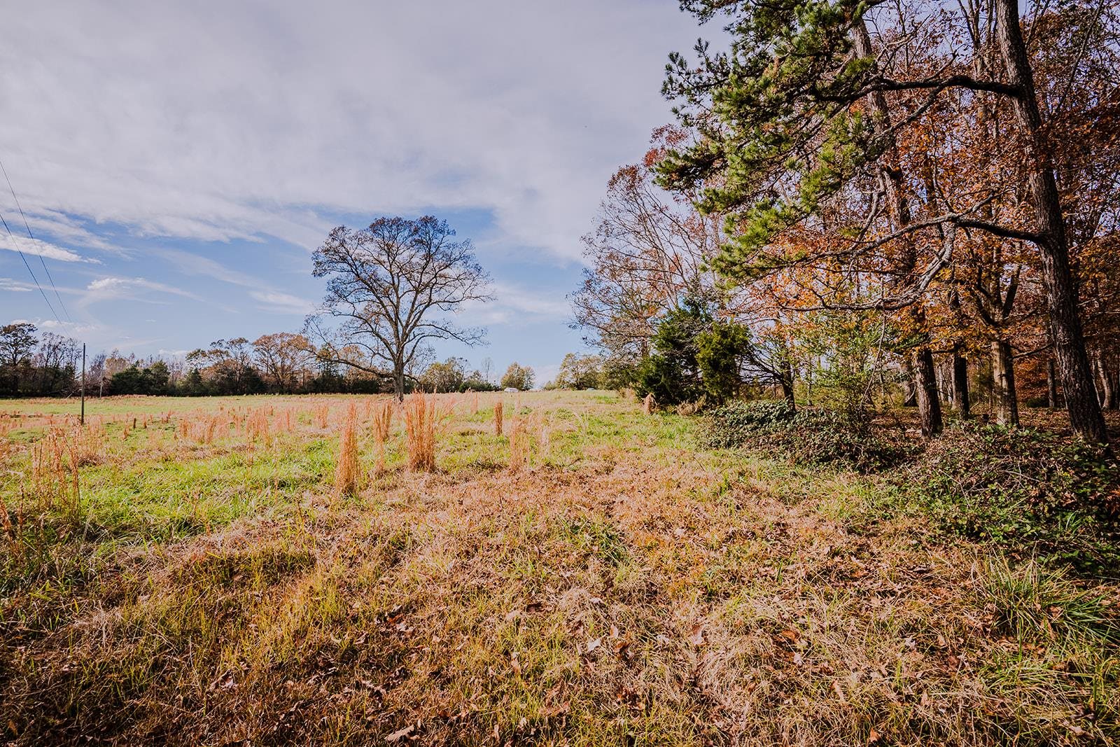 0 Perrine Drive Gaffney, SC 29341 - Photo 9 of 31