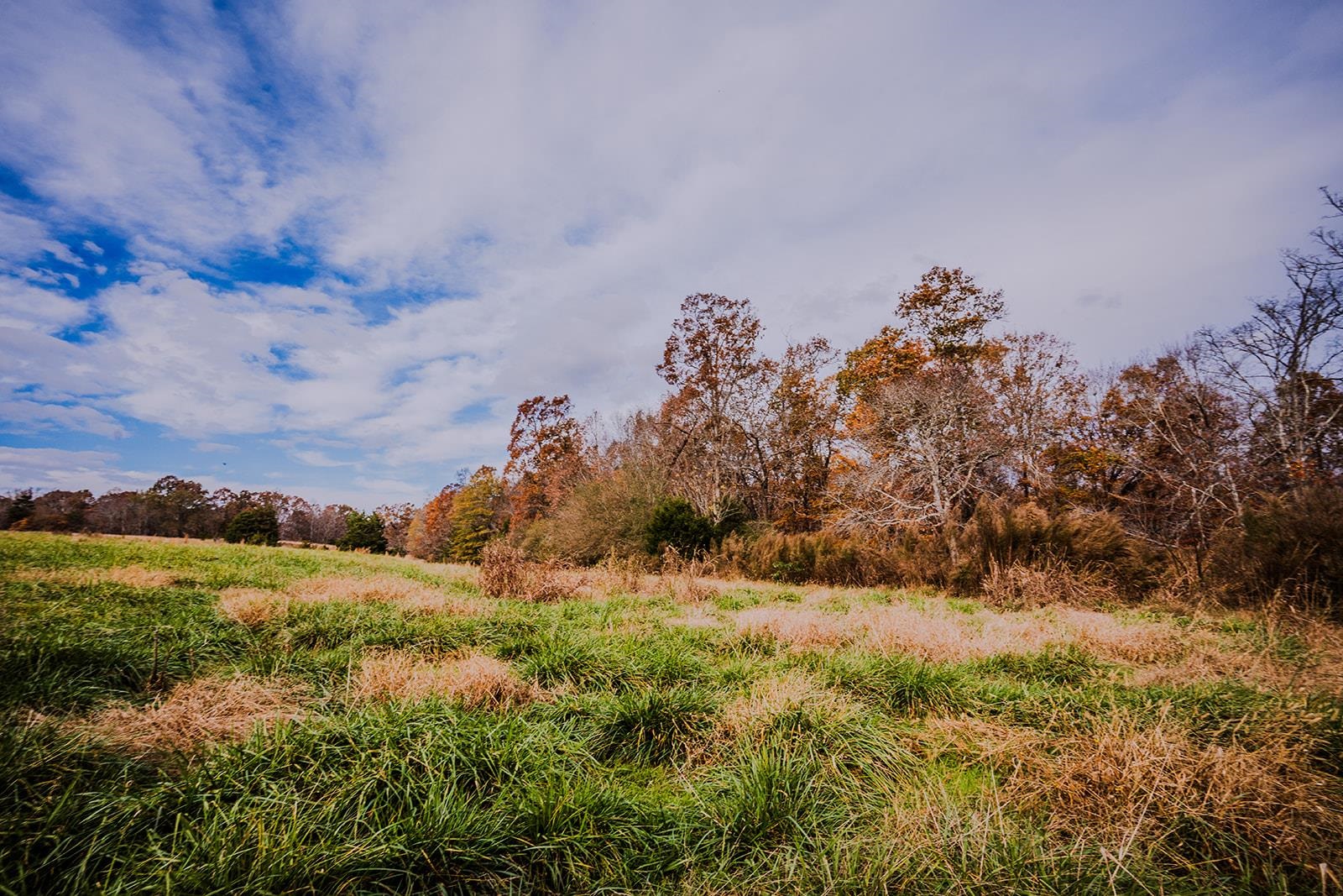 0 Perrine Drive Gaffney, SC 29341 - Photo 10 of 31