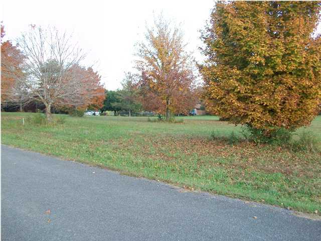 0 Riverview Lane, Unit 25 Decatur, TN 37322 - Photo 5 of 7 Additional Photo