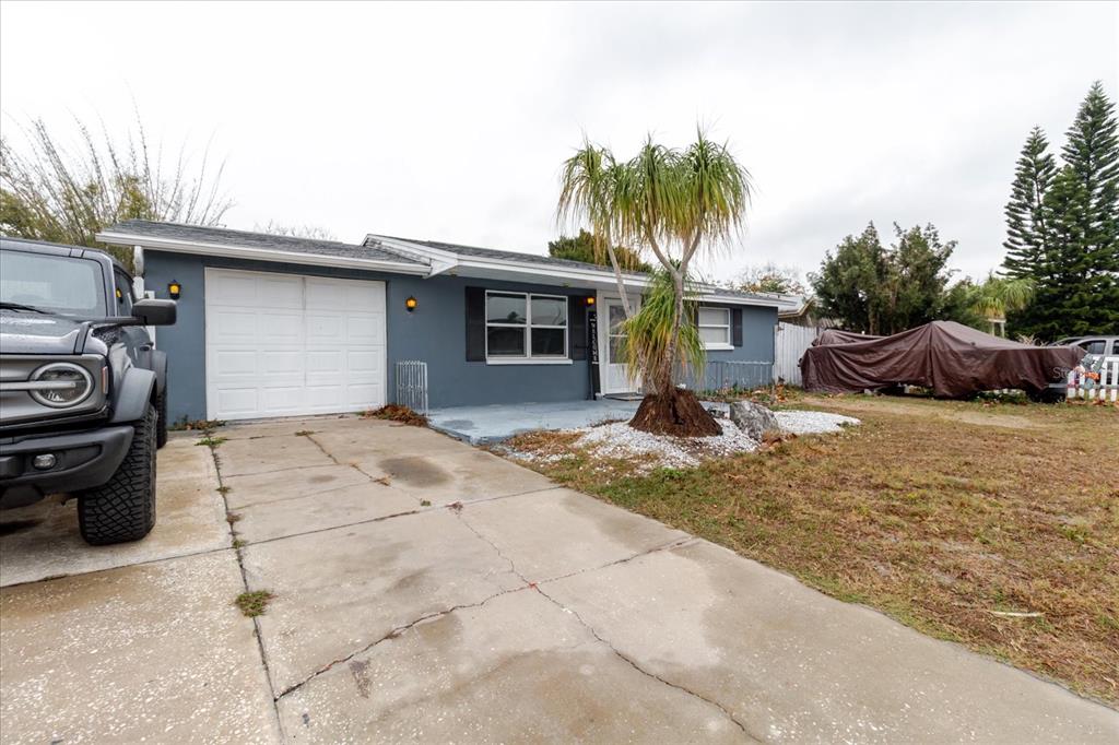 9731 Rainbow Lane Port Richey, FL 34668 - Photo 11 of 78 Gallery Image 11