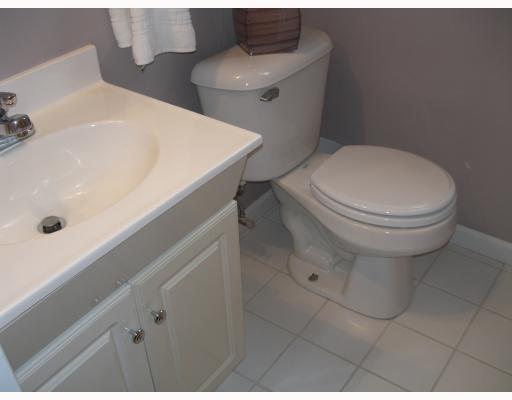 428 Ridgemont Drive Pittsburgh, PA 15220 - Photo 13 of 18 Master Bath/Spa.
