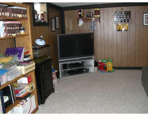 428 Ridgemont Drive Pittsburgh, PA 15220 - Photo 14 of 18 Other. Basement Gameroom