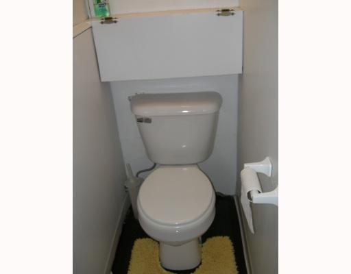428 Ridgemont Drive Pittsburgh, PA 15220 - Photo 16 of 18 Other. Second Toilet in basement