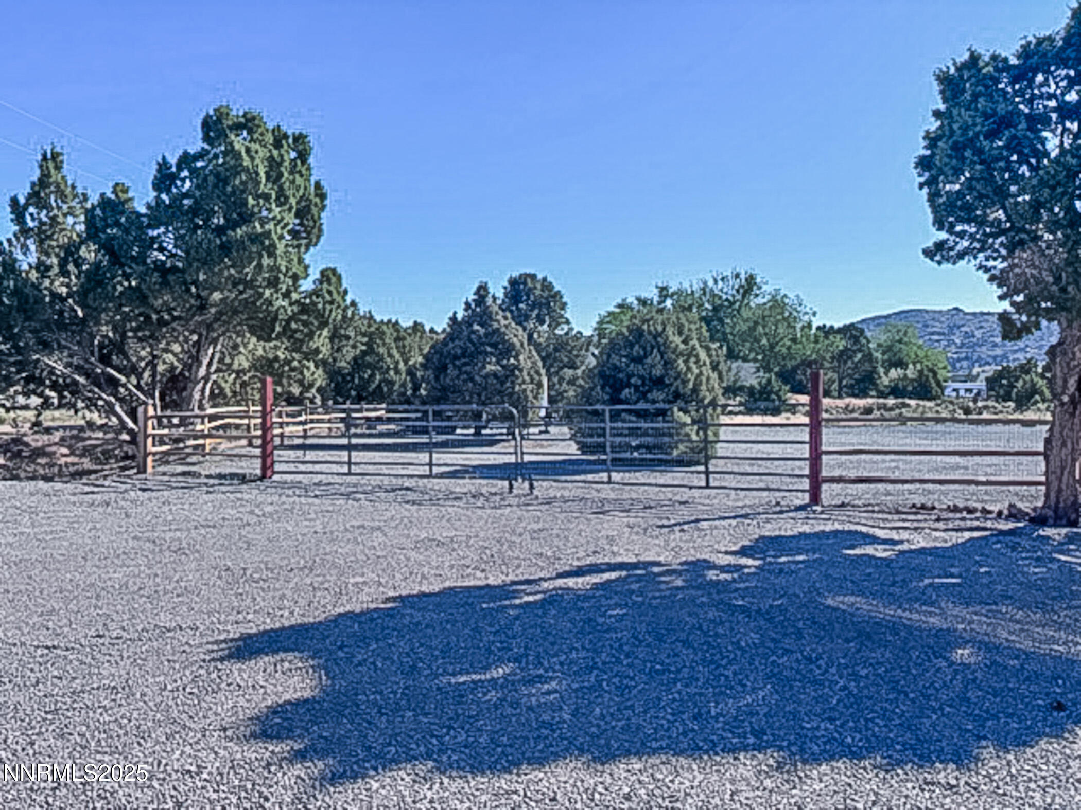 21945 Adobe Road Reno, NV 89521 - Photo 3 of 40 Side Yard