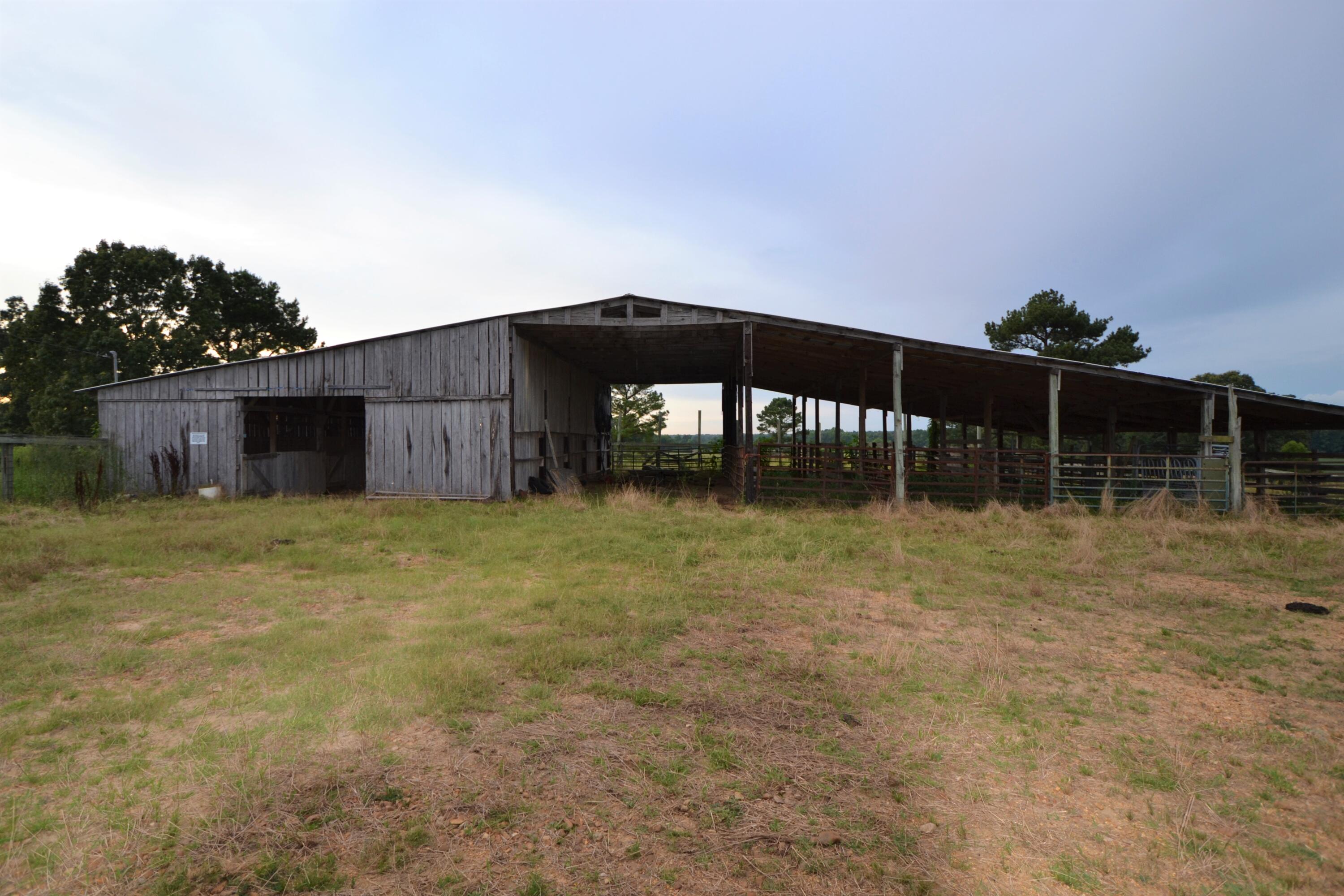 79 Tate Marshall Road Coldwater, MS 38618 - Photo 12 of 21 DSC_1899