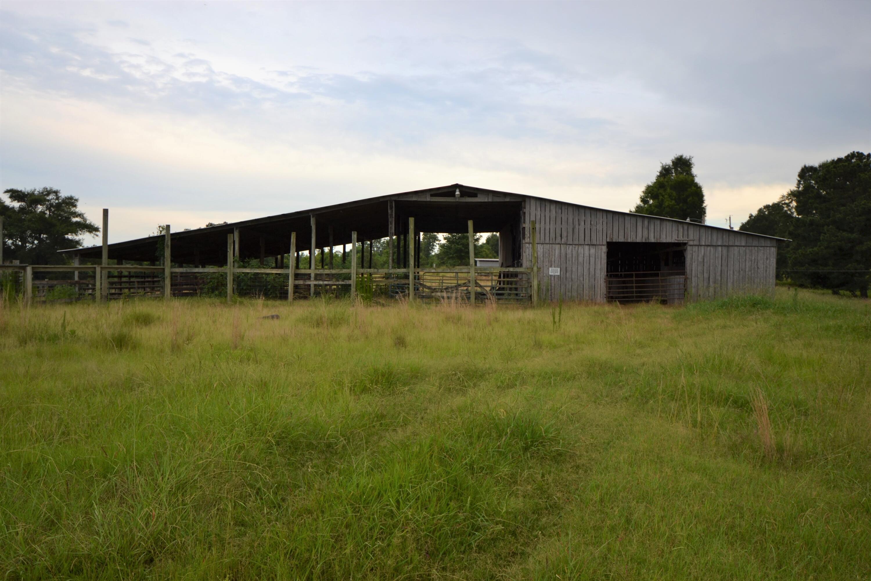79 Tate Marshall Road Coldwater, MS 38618 - Photo 2 of 21 DSC_1831