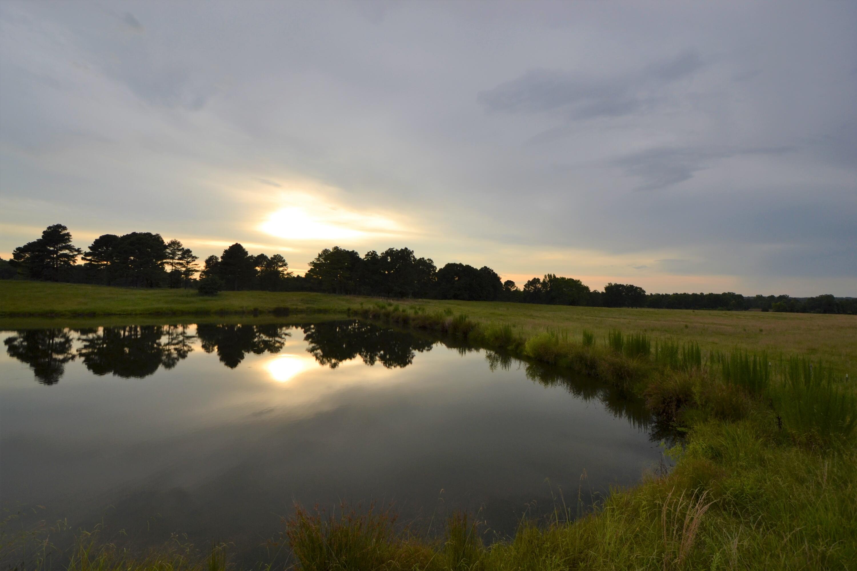 79 Tate Marshall Road Coldwater, MS 38618 - Photo 5 of 21 DSC_1860