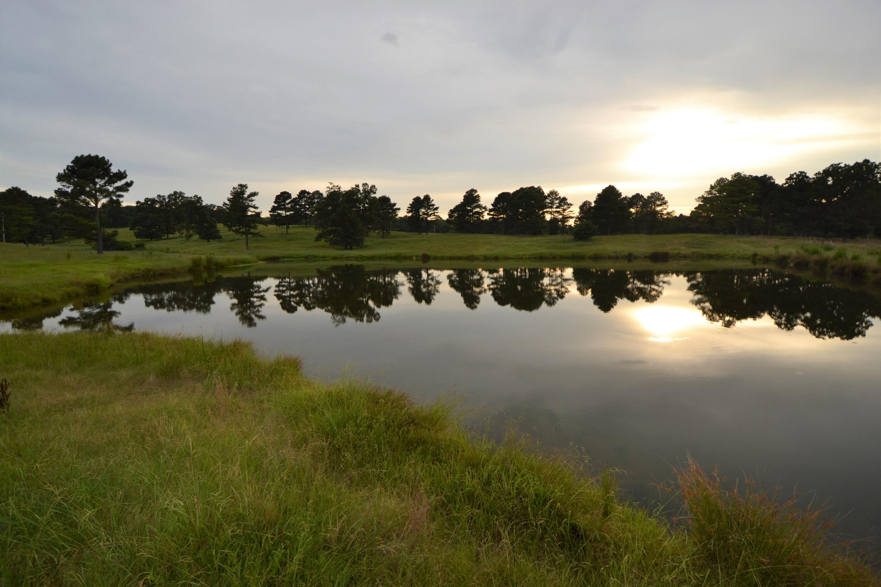79 Tate Marshall Road Coldwater, MS 38618 - Photo 6 of 21 DSC_1862