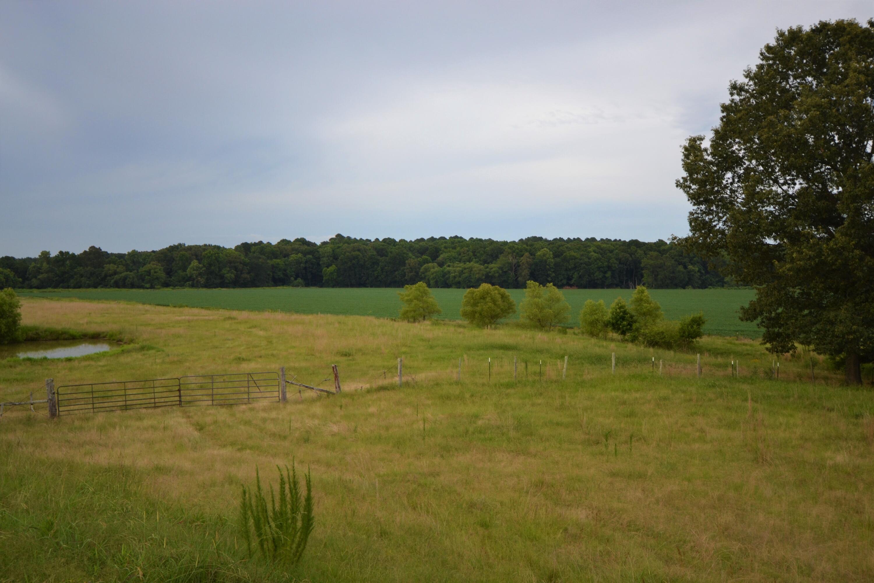 79 Tate Marshall Road Coldwater, MS 38618 - Photo 8 of 21 DSC_1866