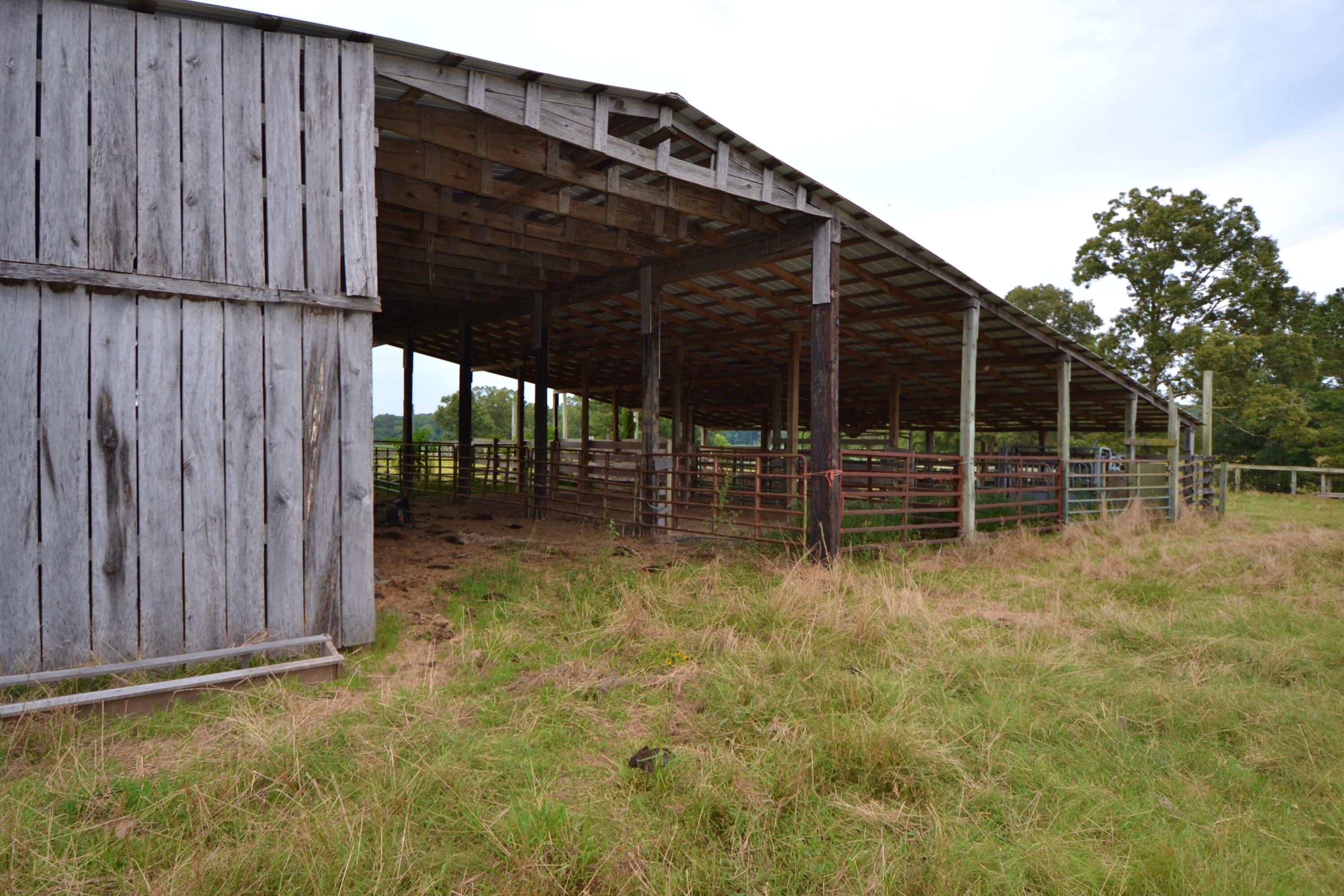 79 Tate Marshall Road Coldwater, MS 38618 - Photo 10 of 21 DSC_1878
