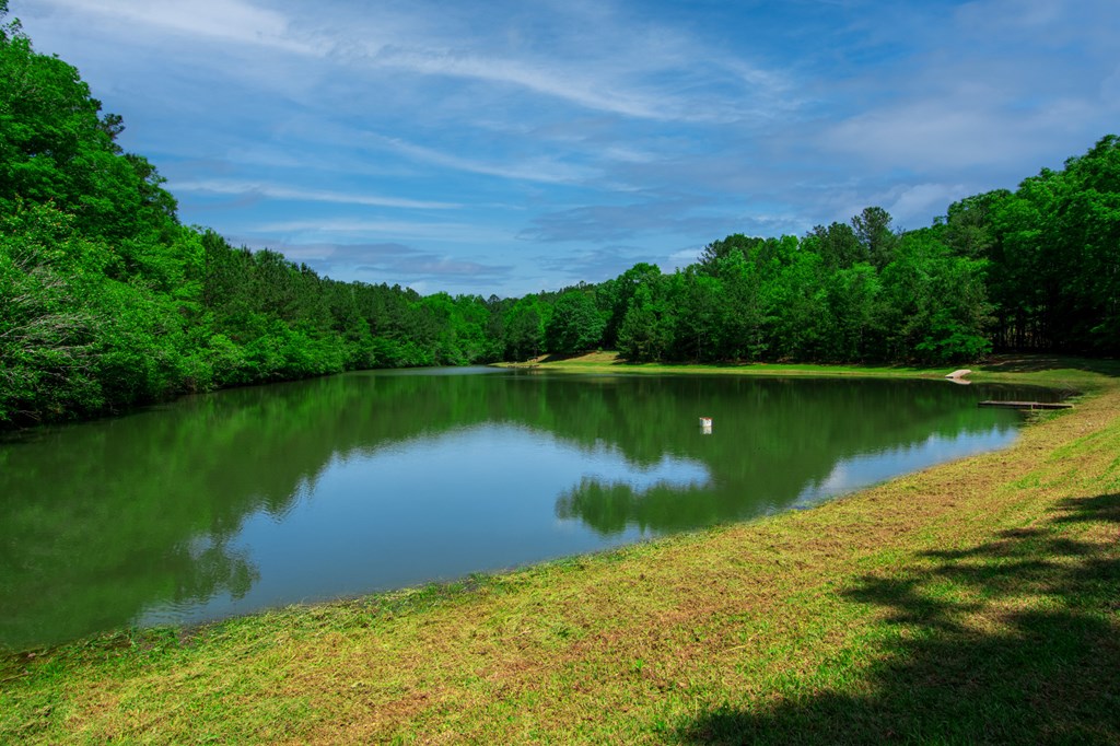 998 Pine Lake Road West Point, GA 31833 - Photo 34 of 58 Gallery Image 34