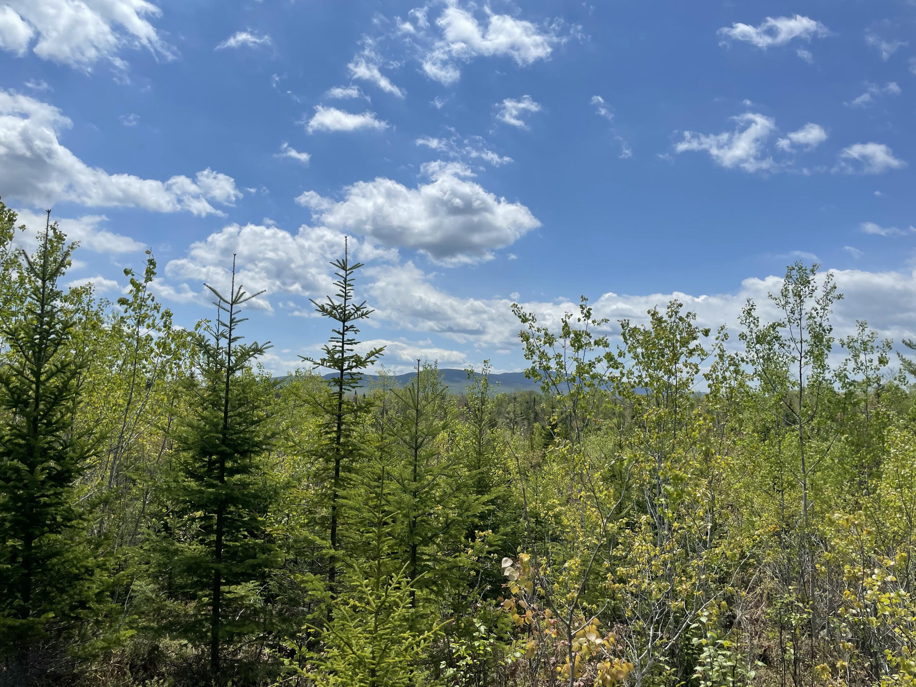 M3-l9.11 Bemis Road Rangeley, ME 04970 - Photo 22 of 30 IMG_1118