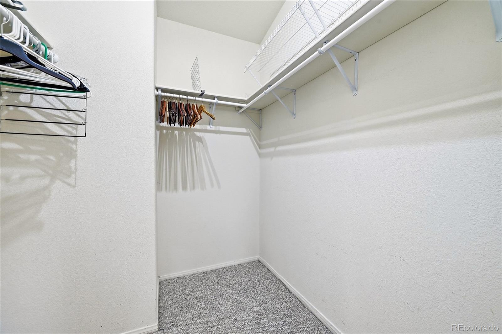 20300 Old Ranch Loop Nathrop, CO 81236 - Photo 18 of 35 a view of walk in closet