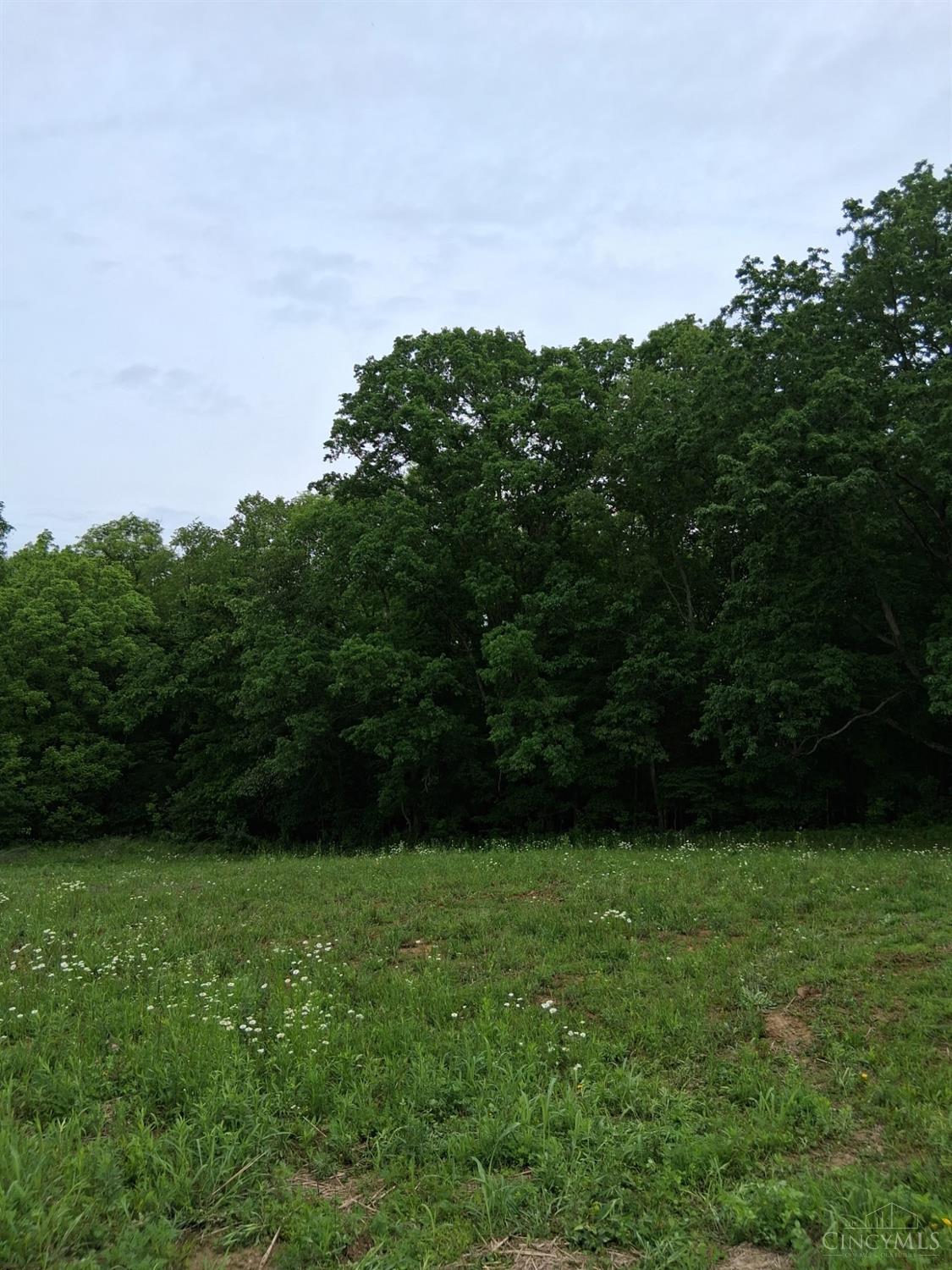 11583 Sinking Spring Road Hillsboro, OH 45133 - Photo 5 of 25