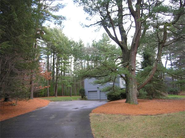 54 Whitman Road Needham, MA 02492 - Photo 26 of 30 Gallery Image 26
