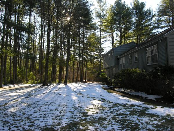 54 Whitman Road Needham, MA 02492 - Photo 27 of 30 Gallery Image 27