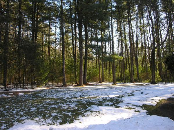 54 Whitman Road Needham, MA 02492 - Photo 28 of 30 Gallery Image 28