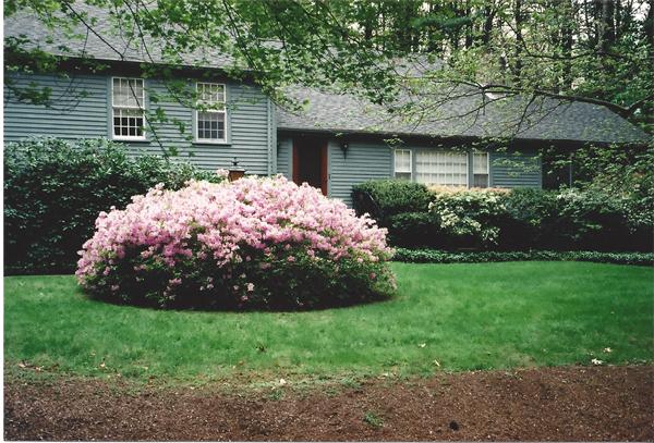 54 Whitman Road Needham, MA 02492 - Photo 30 of 30 Gallery Image 30