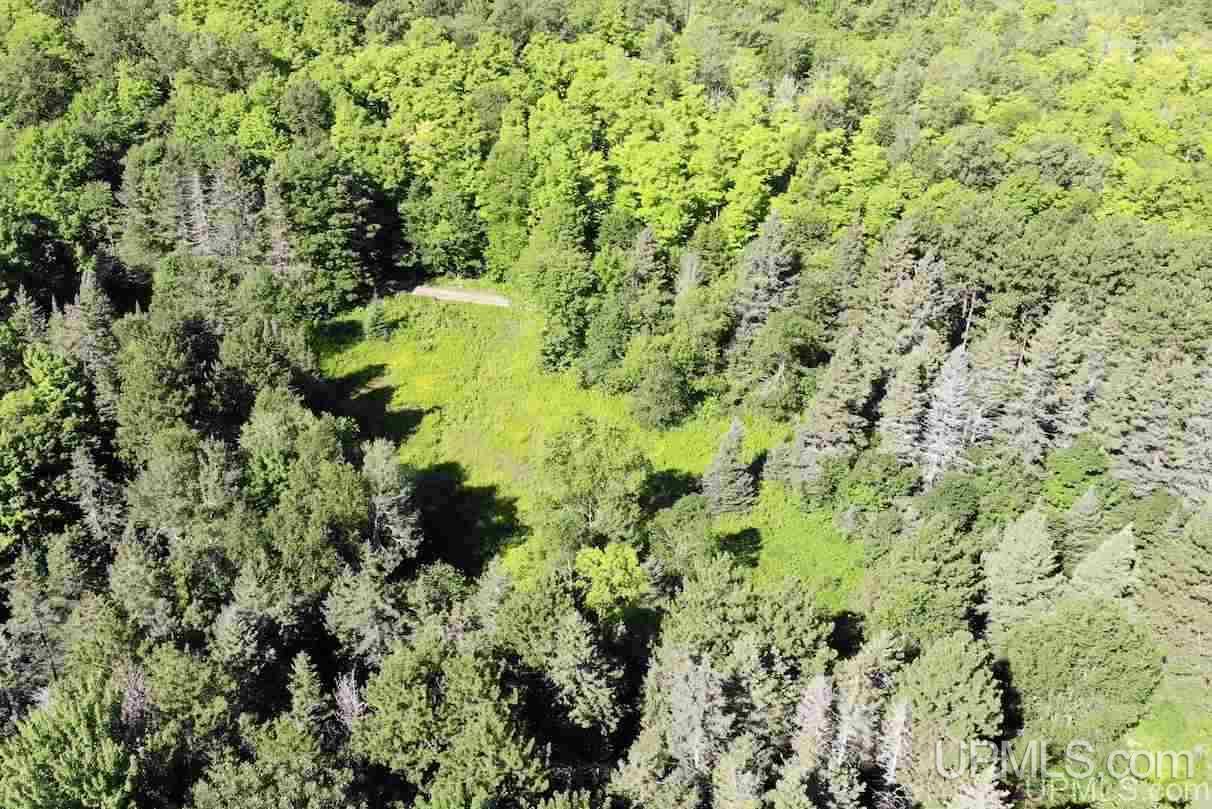 21660 Newberry Road Pelkie, MI 49958 - Photo 8 of 40
