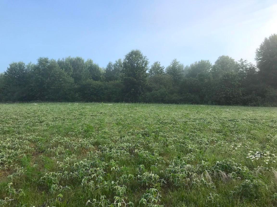0 State Road Northwest Warren, OH 44481 - Photo 2 of 43 Gallery Image 2