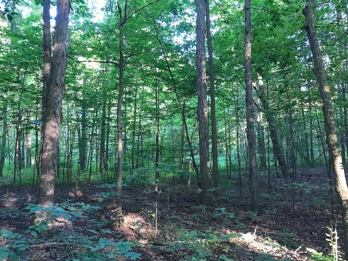 0 State Road Northwest Warren, OH 44481 - Photo 25 of 43 Gallery Image 25