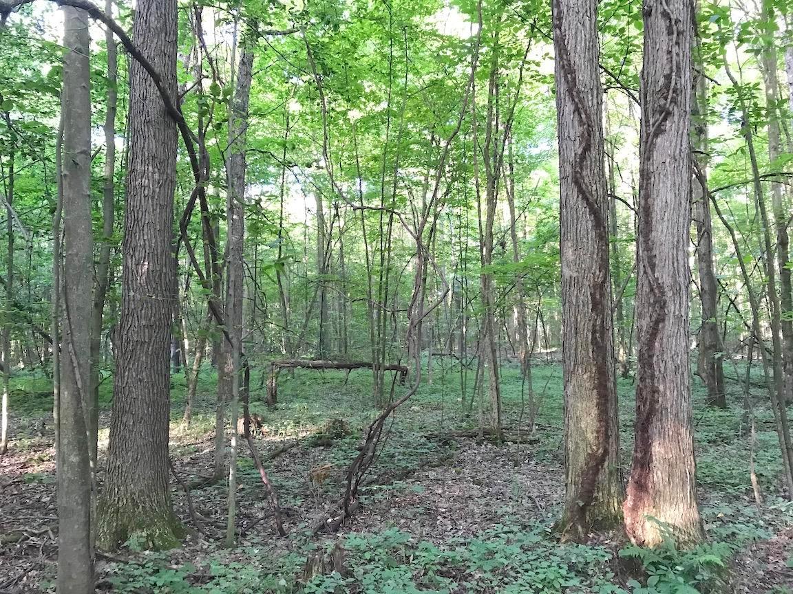0 State Road Northwest Warren, OH 44481 - Photo 29 of 43 Gallery Image 29
