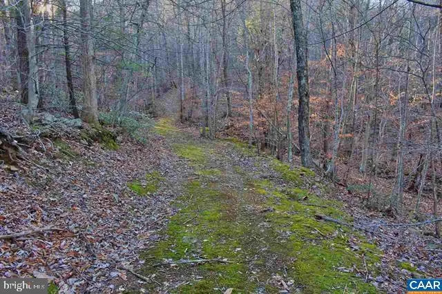 $425,000 | 1 Walk Around Lane, Roseland, VA 22967