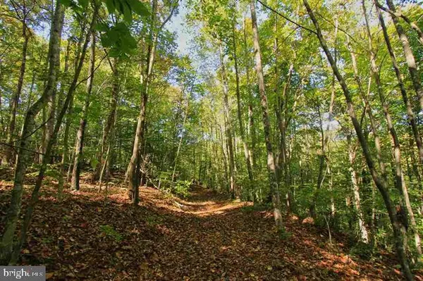 $425,000 | 1 Walk Around Lane, Roseland, VA 22967