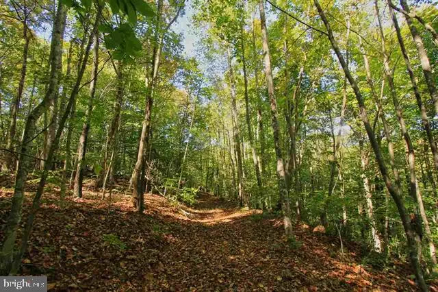 $425,000 | 1 Walk Around Lane, Roseland, VA 22967