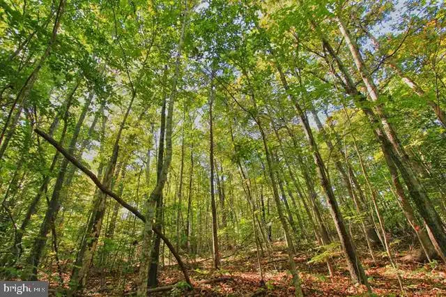 $425,000 | 1 Walk Around Lane, Roseland, VA 22967