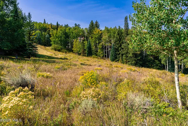 a view of a yard with plants and trees