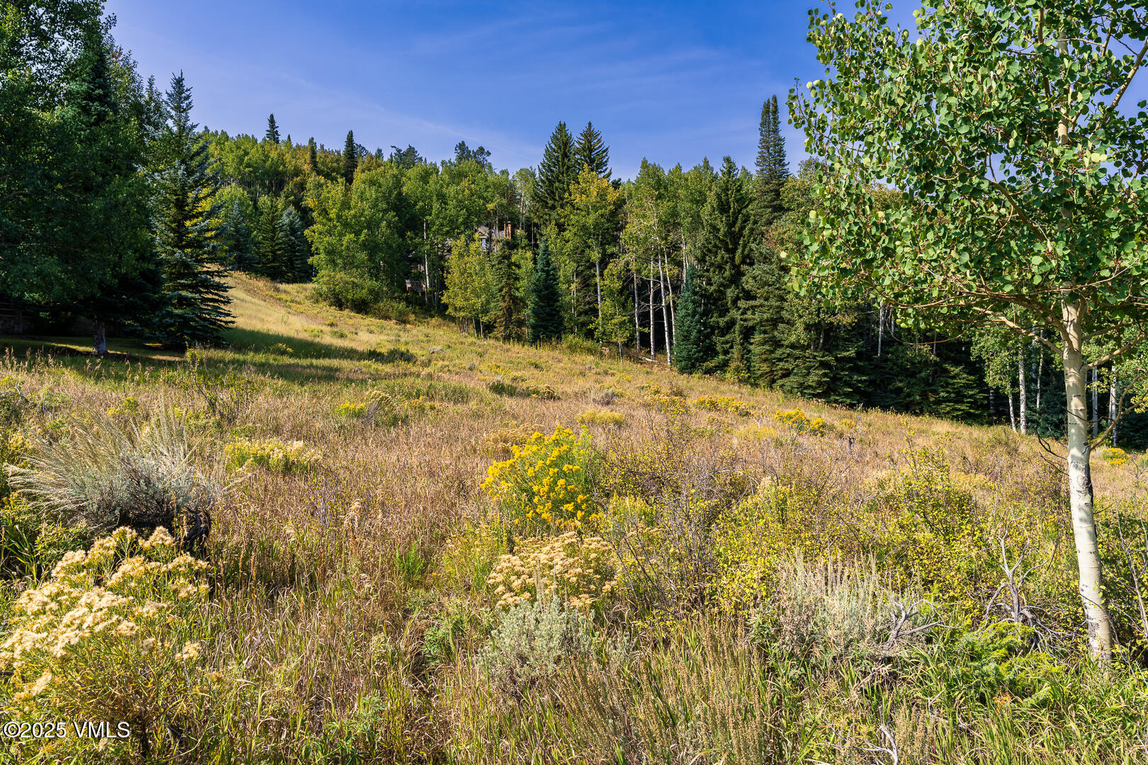 284 Settlers Loop Edwards, CO 81632 - Photo 11 of 53 284_Settlers_Loop_Lot_38_030