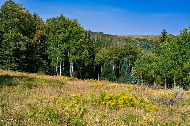 $395,000 | 284 Settlers Loop, Edwards, CO 81632