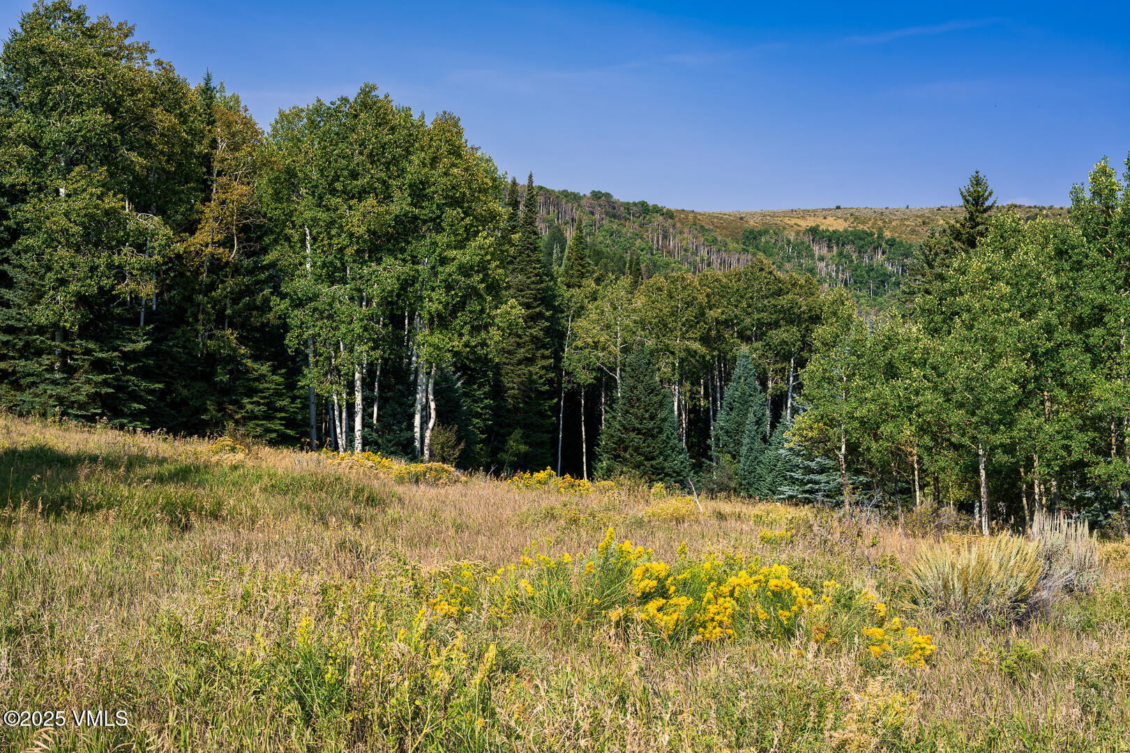 284 Settlers Loop Edwards, CO 81632 - Photo 25 of 53 284_Settlers_Loop_Lot_38_016