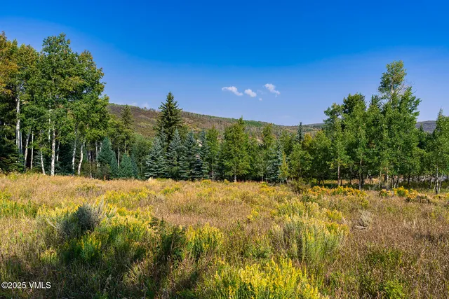 $395,000 | 284 Settlers Loop, Edwards, CO 81632