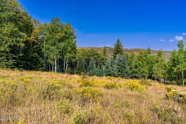 $395,000 | 284 Settlers Loop, Edwards, CO 81632