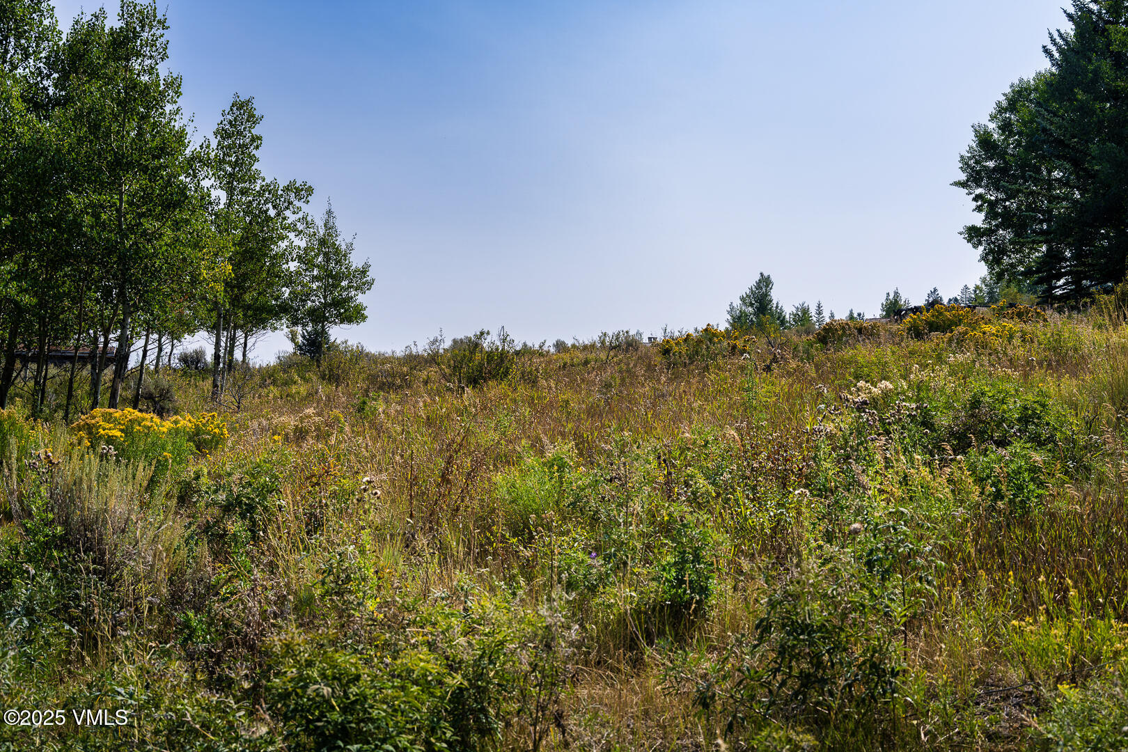 284 Settlers Loop Edwards, CO 81632 - Photo 39 of 53 284_Settlers_Loop_Lot_38_038