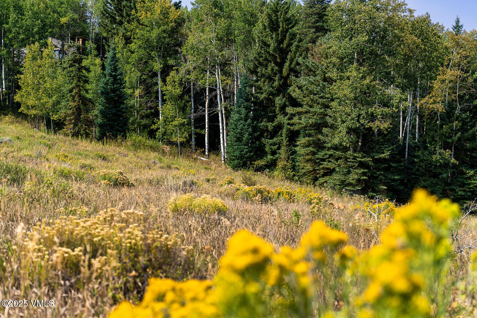 284 Settlers Loop Edwards, CO 81632 - Photo 43 of 53 284_Settlers_Loop_Lot_38_047