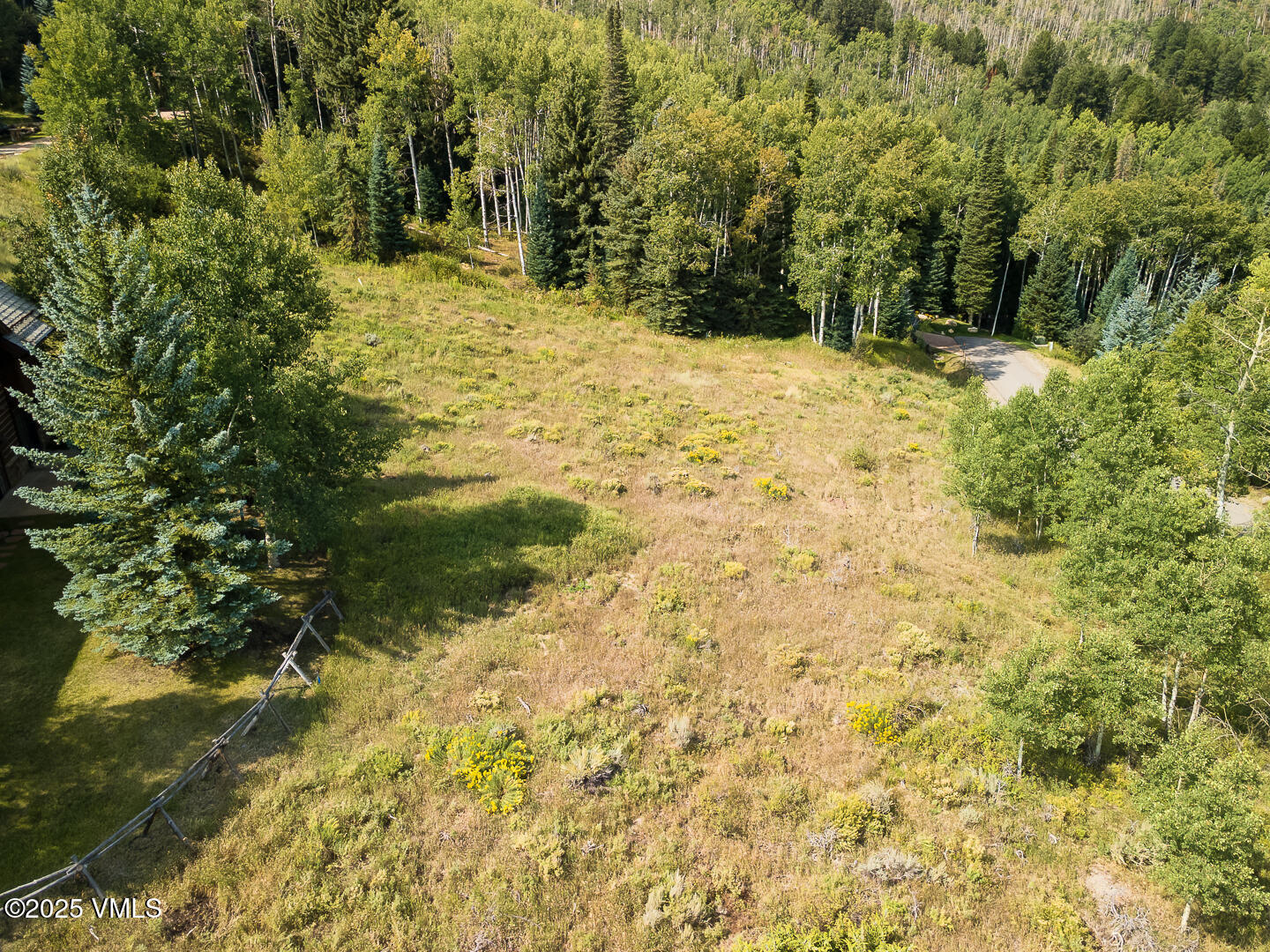 284 Settlers Loop Edwards, CO 81632 - Photo 46 of 53 a view of a yard with trees